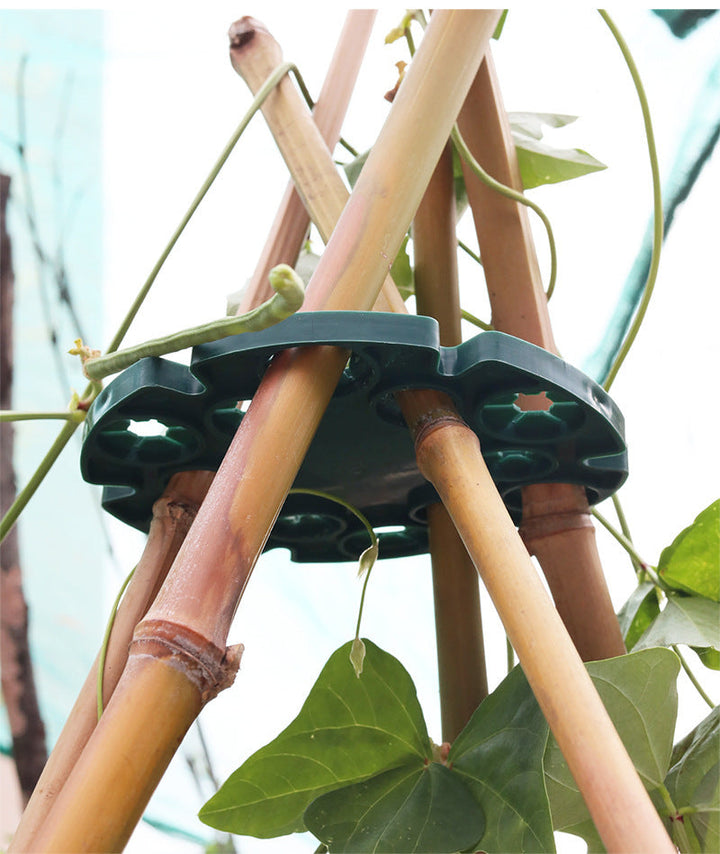 Lisslune | Plant support ring for bamboo poles – Stable climbing aid for tomatoes and climbing plants