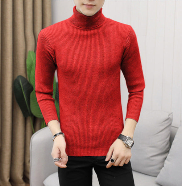 Men's high-quality turtleneck sweater made of fine rib knit Lisslune