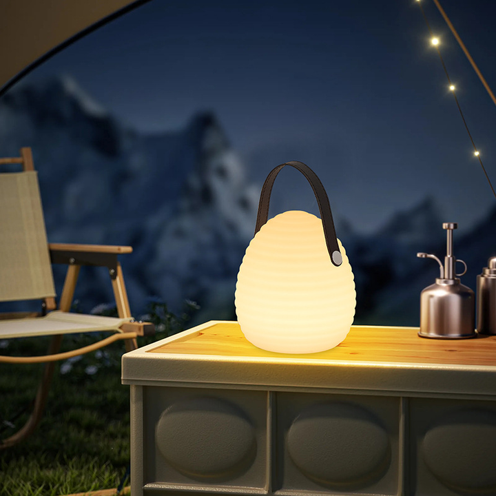 Lisslune | Rechargeable LED Outdoor Hanging Light with Remote