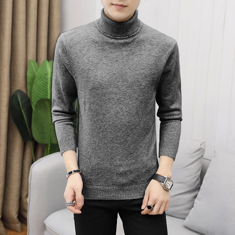 Men's stylish turtleneck sweater with fine structure Lisslune