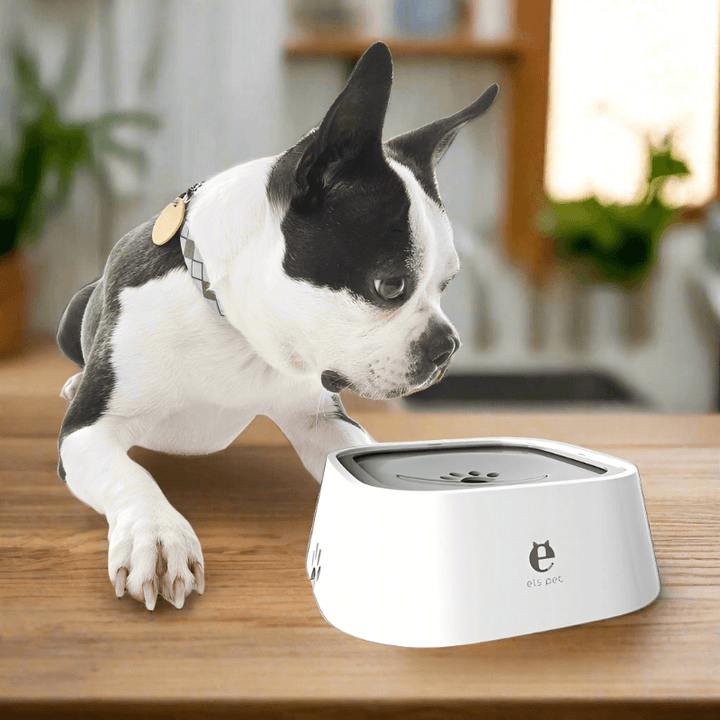 Lisslune | Artisan Ceramic Pet Bowl with Stylish Decorative Print