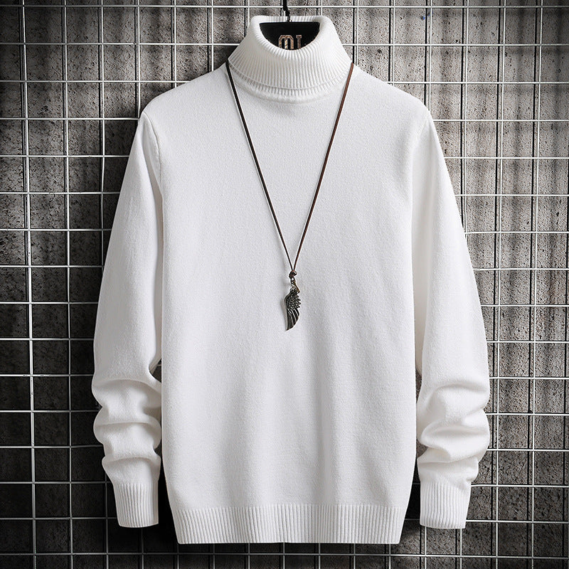 Men's comfortable turtleneck sweater Lisslune