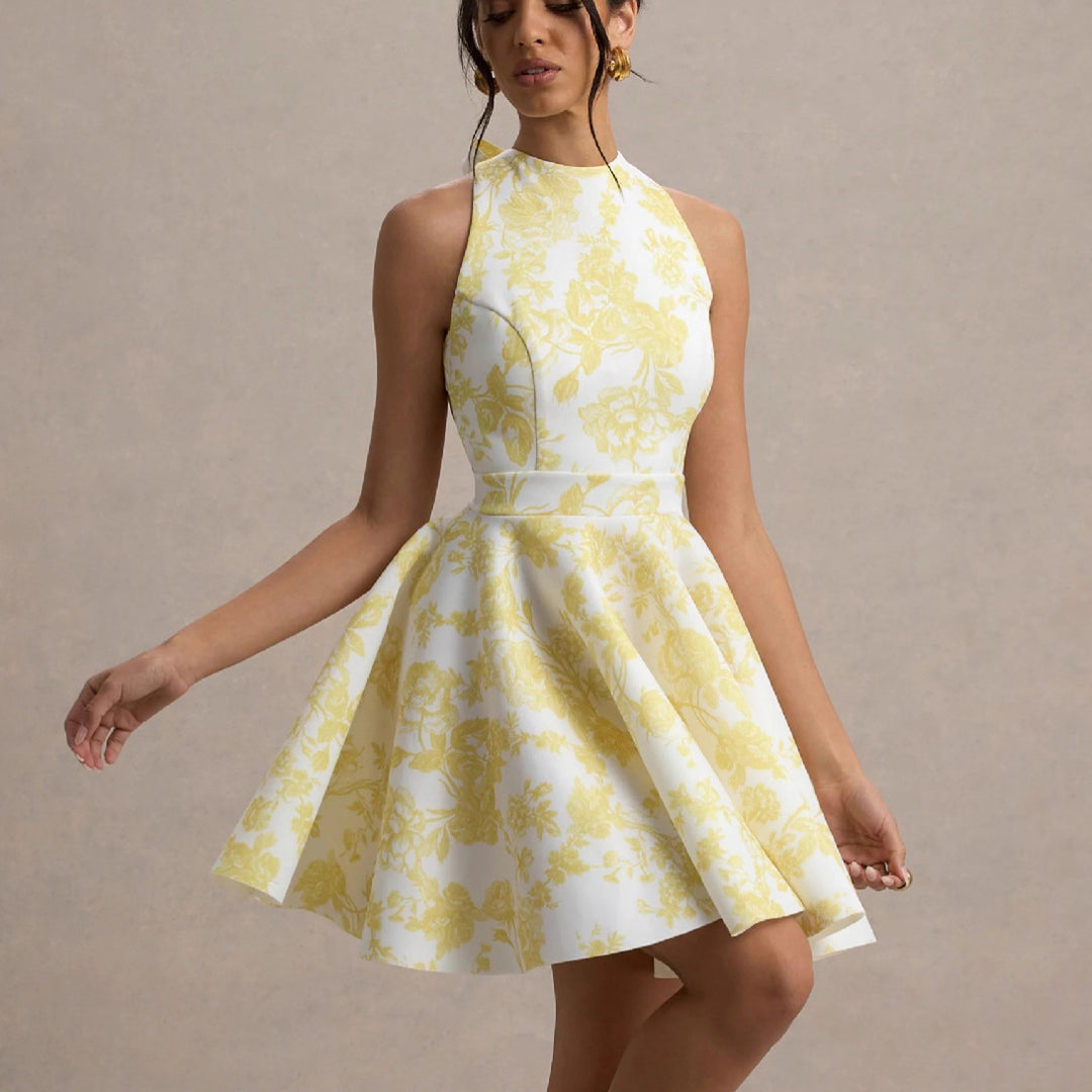 Women Playful fitted minimal dress with swinging skirt and half back view Lisslune