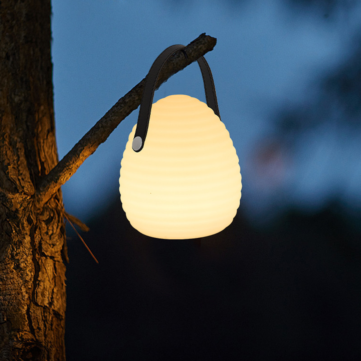 Lisslune | Rechargeable LED Outdoor Hanging Light with Remote