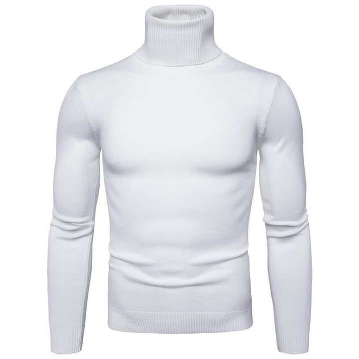 Men's turtleneck sweater made of fine merino wool Lisslune