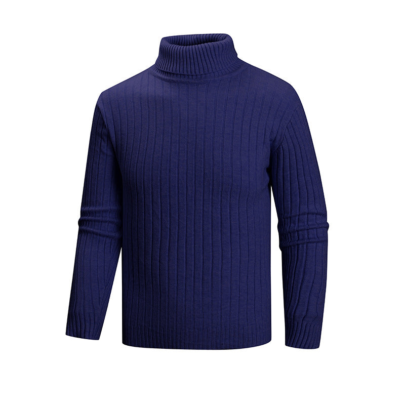 Men's elegant sweater with high collar and fine ribbed structure Lisslune