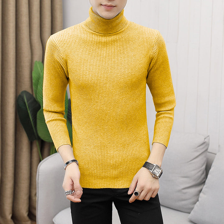Men's high-quality turtleneck sweater made of fine rib knit Lisslune
