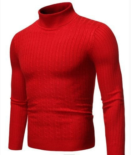 Men's High-Quality Turtleneck Sweater with Fine Texture Lisslune