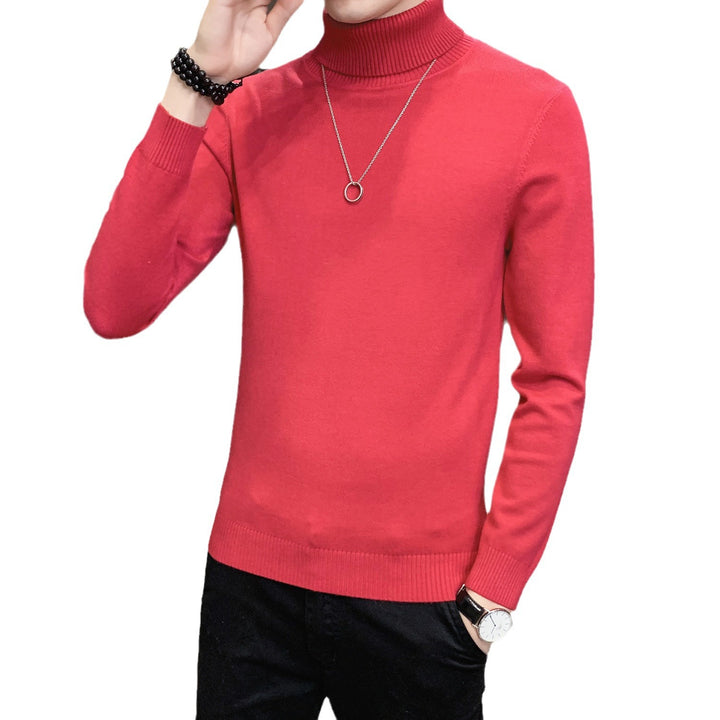 Men's sweater with high collar made of soft knitted fabric Lisslune