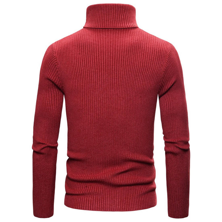 Men's ribbed knit sweater with high collar and body-hugging cut Lisslune