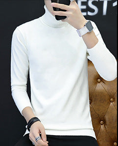 Men's Elegant Turtleneck Sweater made of fine knit Lisslune