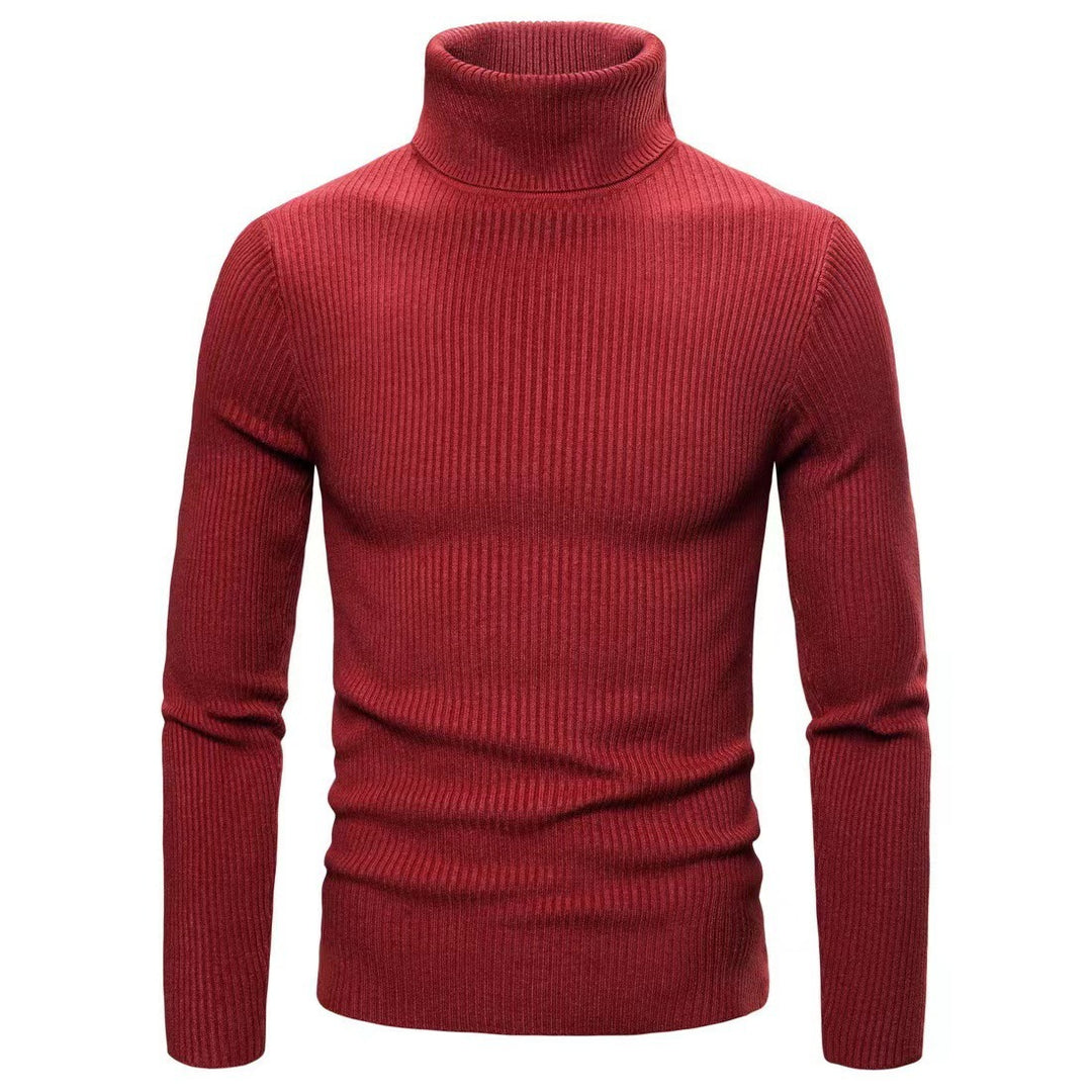 Men's high-quality turtleneck sweater made of fine rib knit Lisslune
