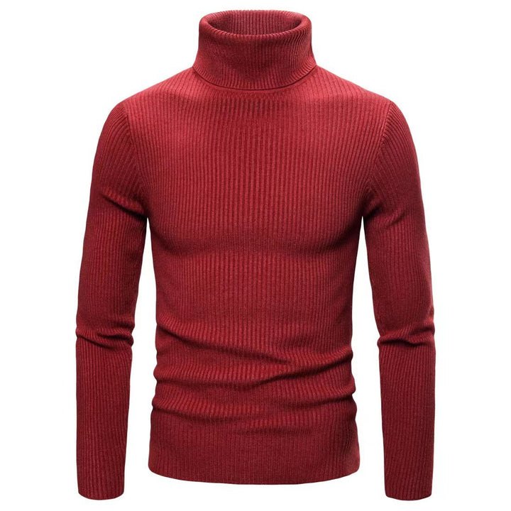 Men's high-quality turtleneck sweater made of fine rib knit Lisslune