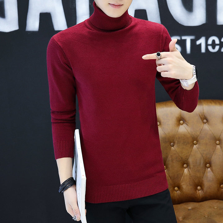 Men's stylish turtleneck sweater with fine structure Lisslune
