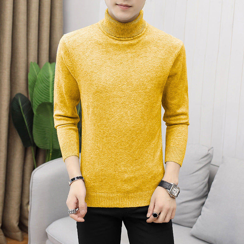Men's stylish turtleneck sweater with fine structure Lisslune