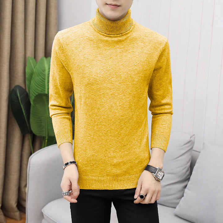 Men's stylish turtleneck sweater with fine structure Lisslune
