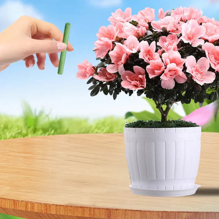 Lisslune | EcoBloom Nutrient Sticks – Long-term Fertilizer for Easy and Sustainable Plant Care