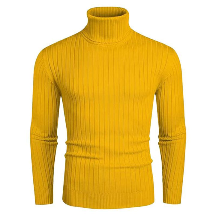 Men's High-Quality Roll Neck Sweater with Fine Rib Structure Lisslune