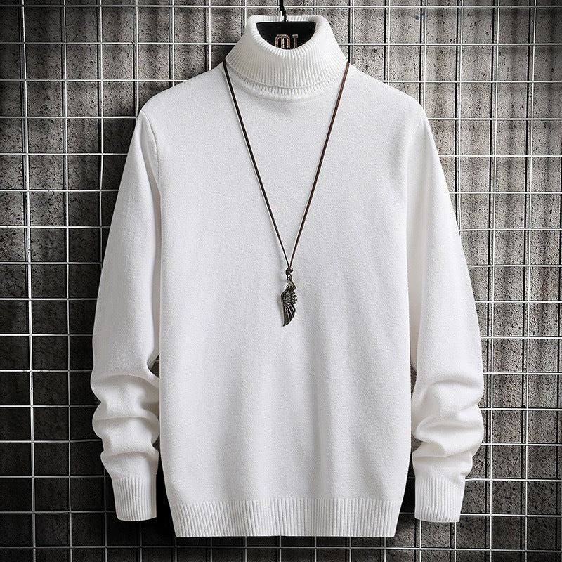 Men's comfortable turtleneck sweater Lisslune