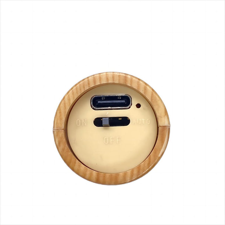 Lisslune | Removable Wall Lamp