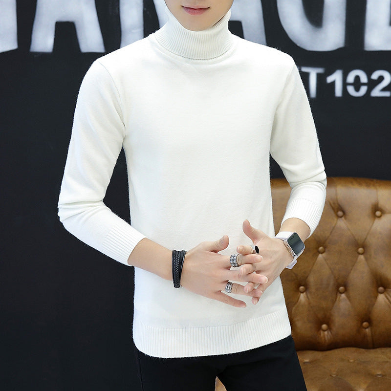 Men's stylish turtleneck sweater with fine structure Lisslune