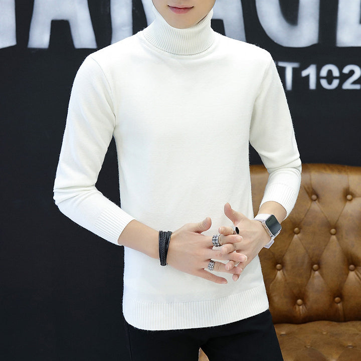 Men's stylish turtleneck sweater with fine structure Lisslune