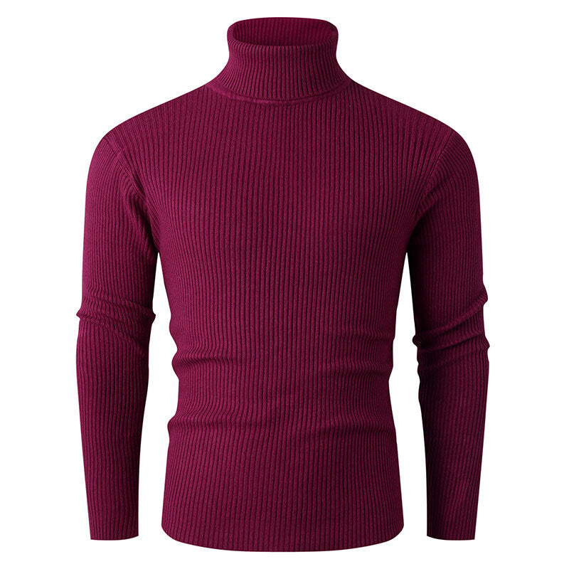 Men's ribbed knit turtleneck sweater Lisslune
