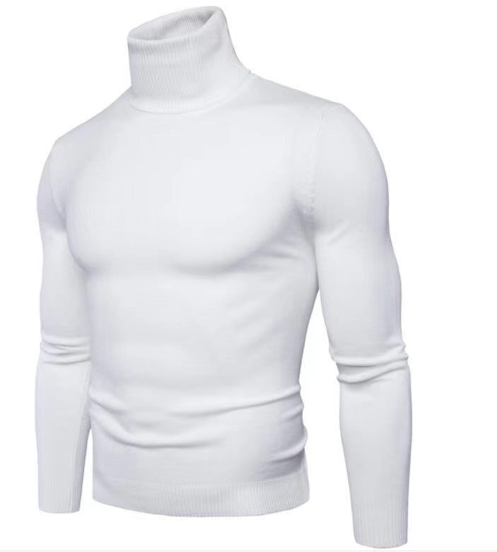 Men's fashionable turtleneck sweater made of fine merino wool Lisslune