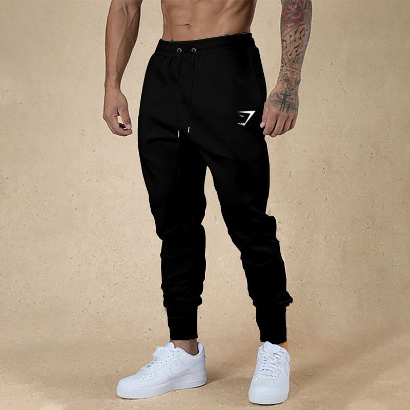 Men's sporty jogging pants with innovative drawstring and elastic waistband Lisslune