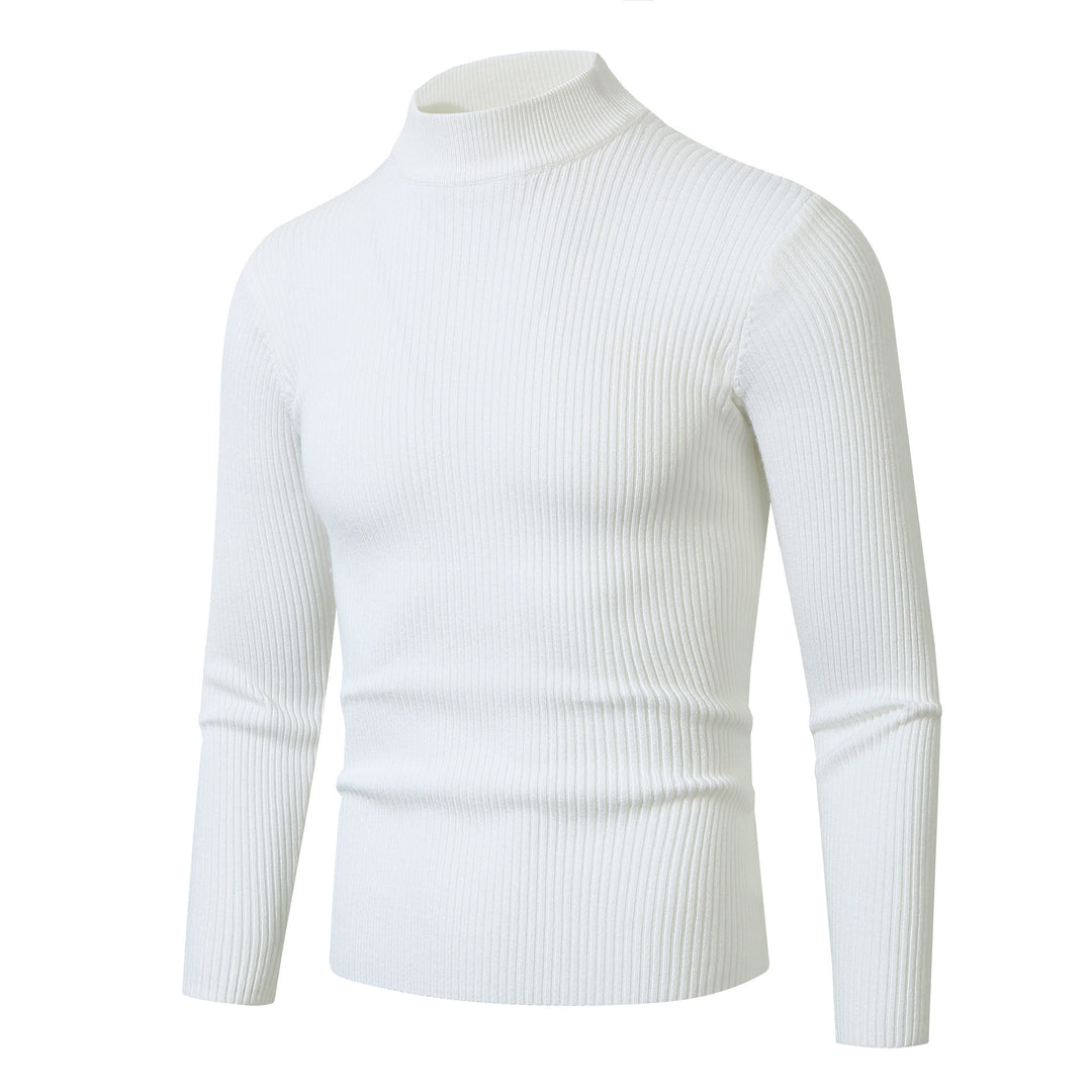 Men's stylish turtleneck sweater made of fine wool Lisslune