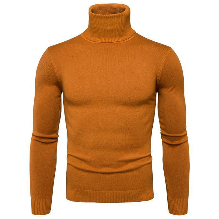 Men's turtleneck sweater made of fine merino wool Lisslune