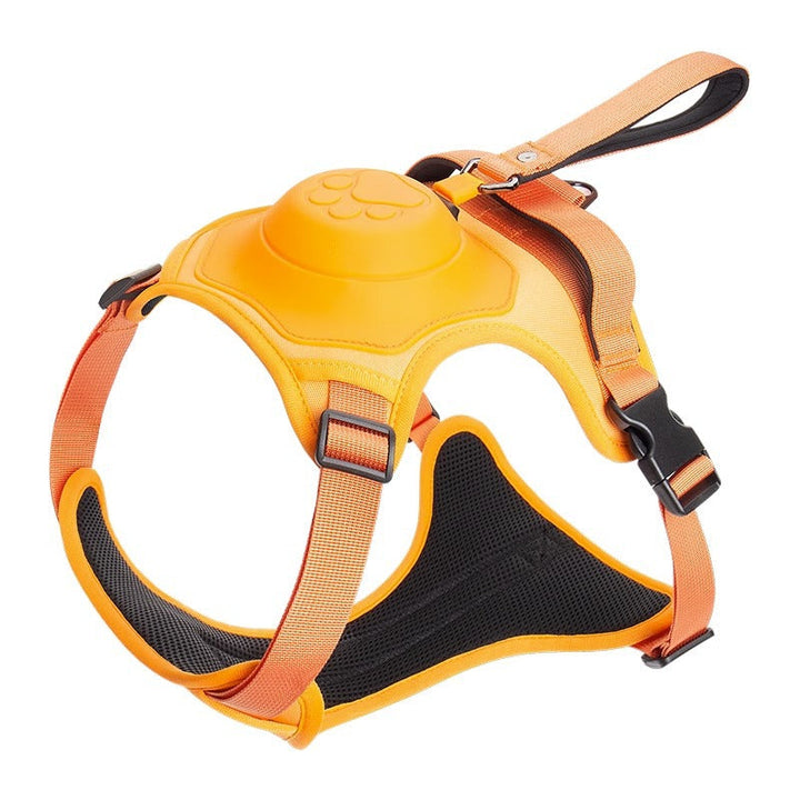 Lisslune | Dogpro | Winterproof dog leash and harness with integrated automatic retraction