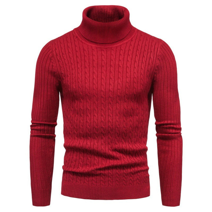Men's turtleneck sweater with cable pattern Lisslune