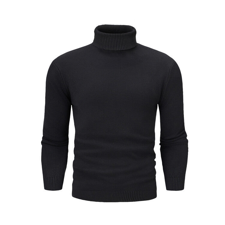Men's elegant turtleneck sweater made of fine merino wool Lisslune