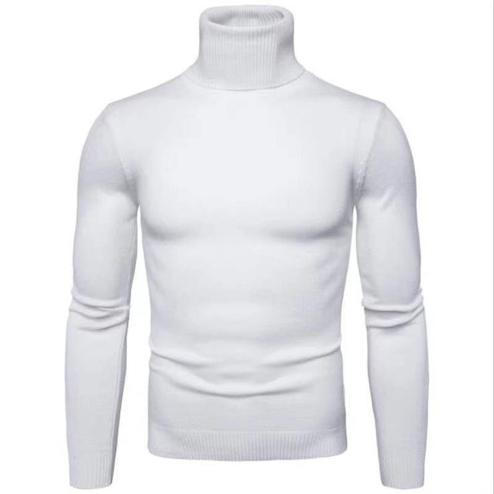 Men's turtleneck sweater made of fine cotton with a fitted cut Lisslune