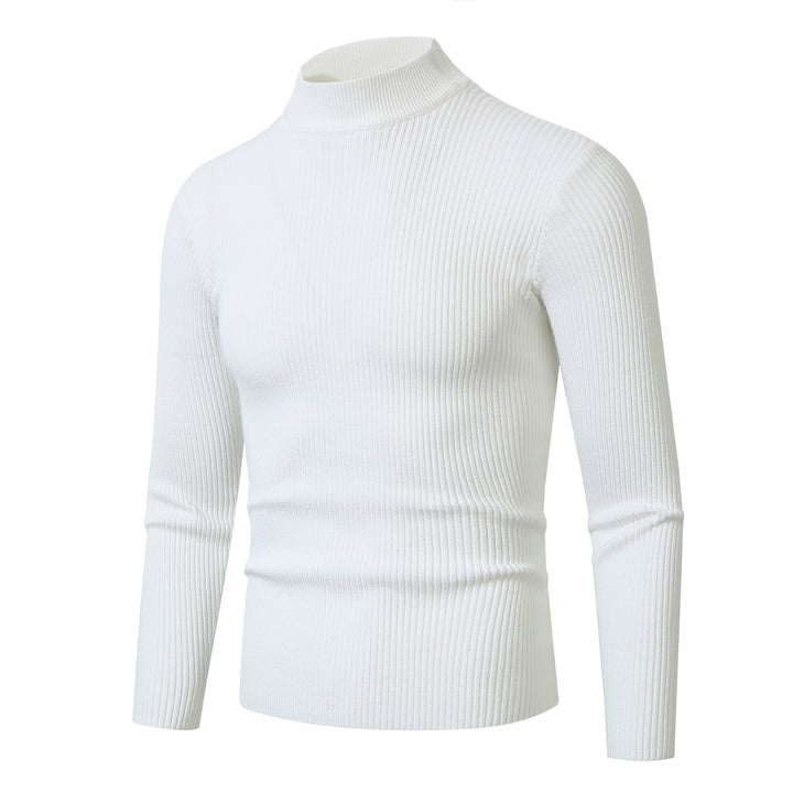 Men's stylish turtleneck sweater made of fine wool Lisslune
