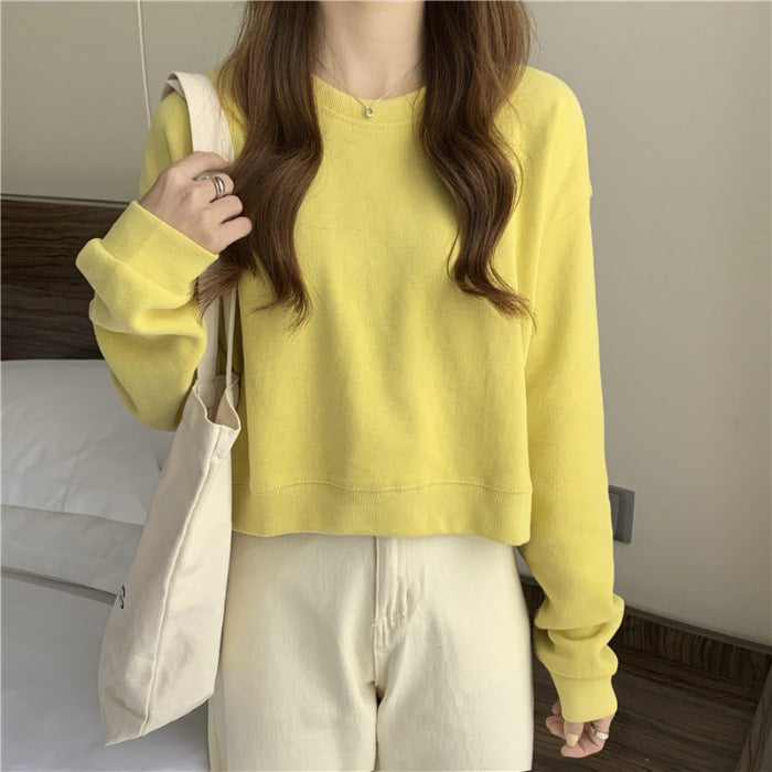 Women's casual cropped sweater made of soft cotton blend with stylish round neckline Lisslune