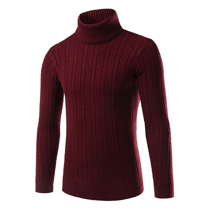 Men's stylish turtleneck sweater with cable knit pattern Lisslune
