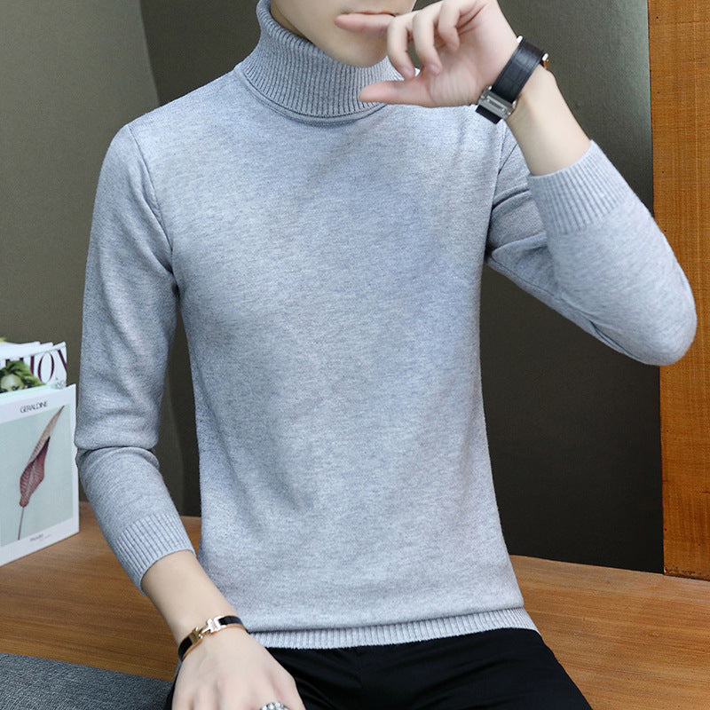 Men's stylish turtleneck sweater with fine structure Lisslune