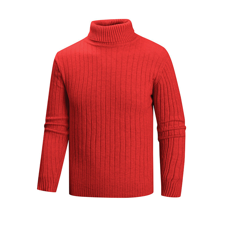 Men's elegant sweater with high collar and fine ribbed structure Lisslune