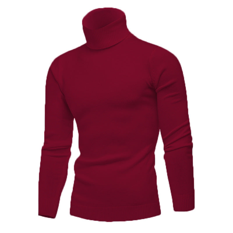Men's turtleneck sweater made of fine cotton with a fitted cut Lisslune