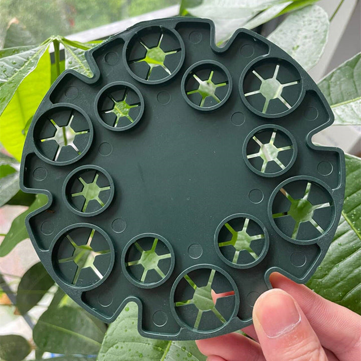 Lisslune | Plant support ring for bamboo poles – Stable climbing aid for tomatoes and climbing plants