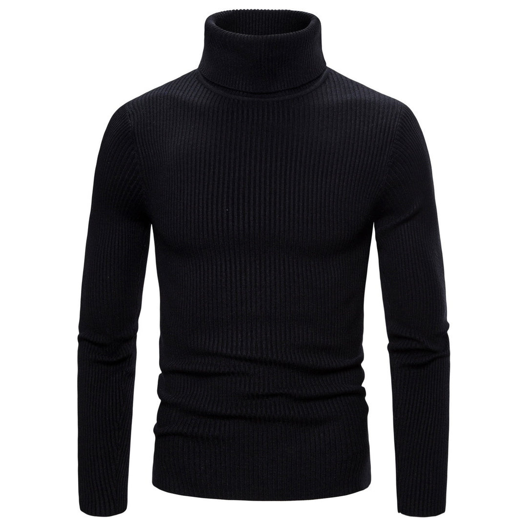 Men's stylish turtleneck sweater made of high-quality knit Lisslune