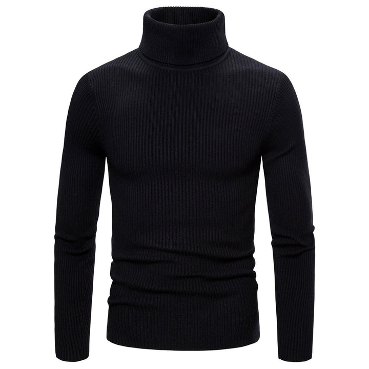 Men's stylish turtleneck sweater made of high-quality knit Lisslune