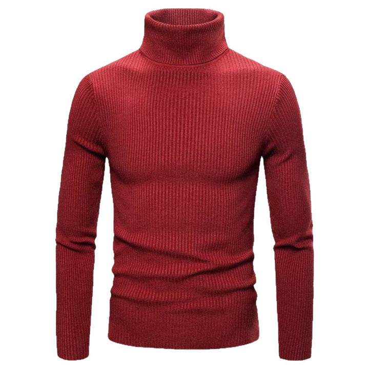 Men's high-quality turtleneck sweater made of fine rib knit Lisslune