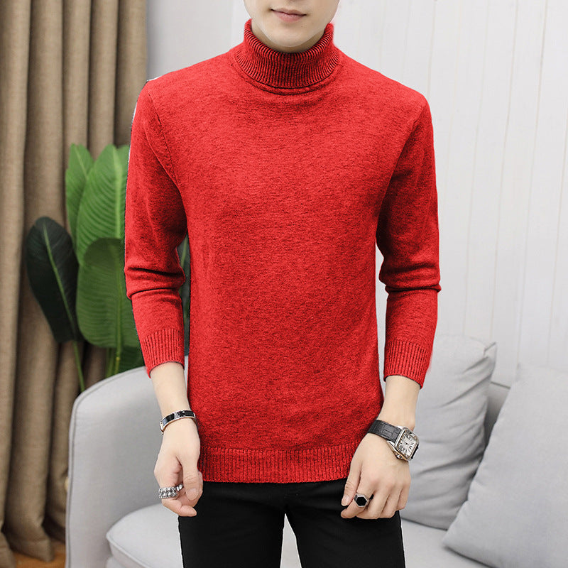 Men's stylish turtleneck sweater with fine structure Lisslune