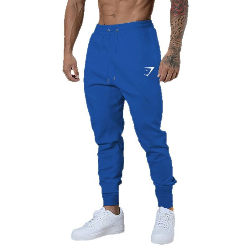 Men's sporty jogging pants with innovative drawstring and elastic waistband Lisslune