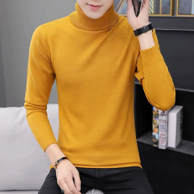 Men's comfortable turtleneck sweater Lisslune