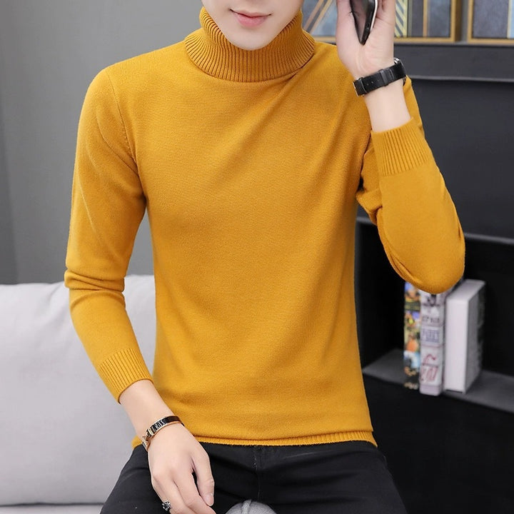 Men's comfortable turtleneck sweater Lisslune