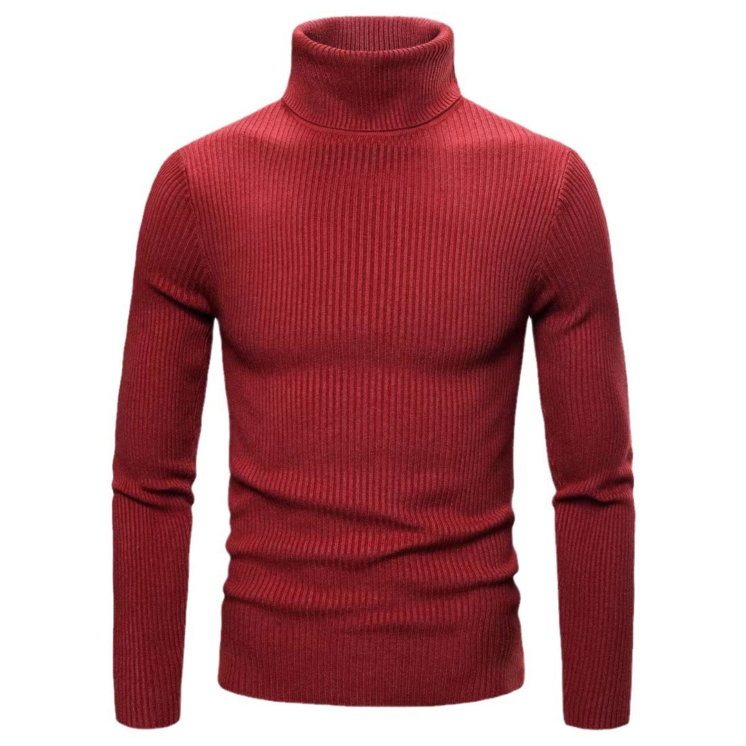 Men's fashionable turtleneck sweater made of fine ribbed structure Lisslune